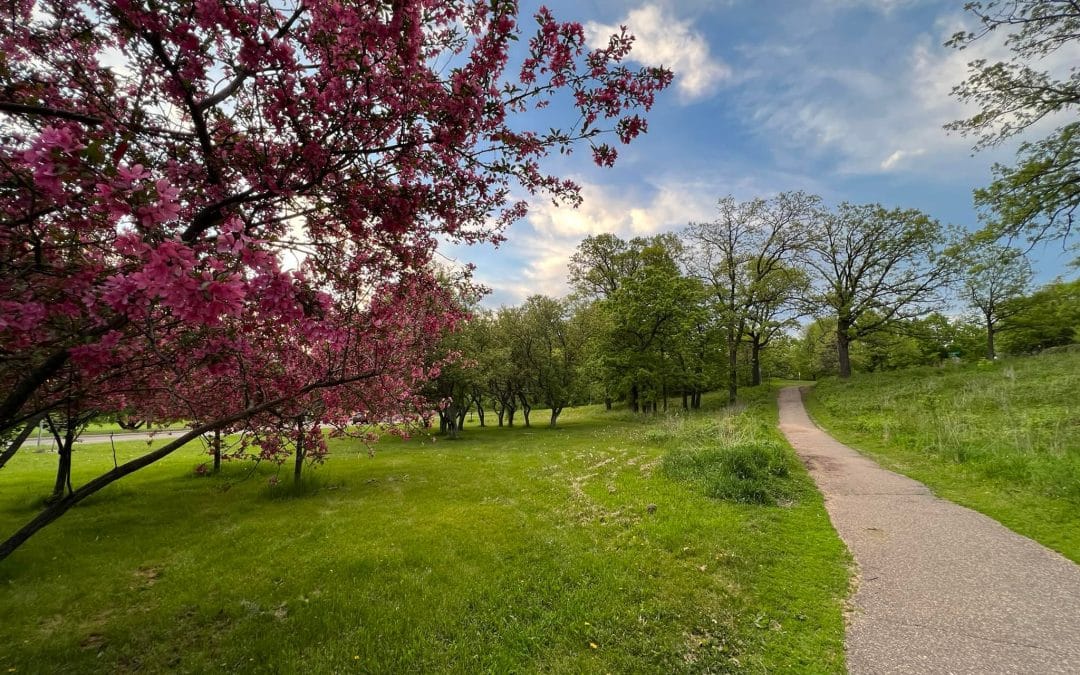 Como Park – Saint Paul, MN